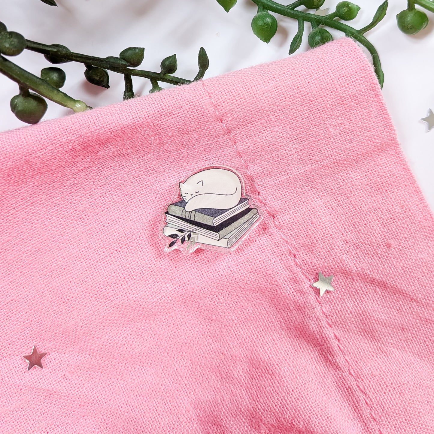 Cat Sleeping On Books Acrylic Pin Badge
