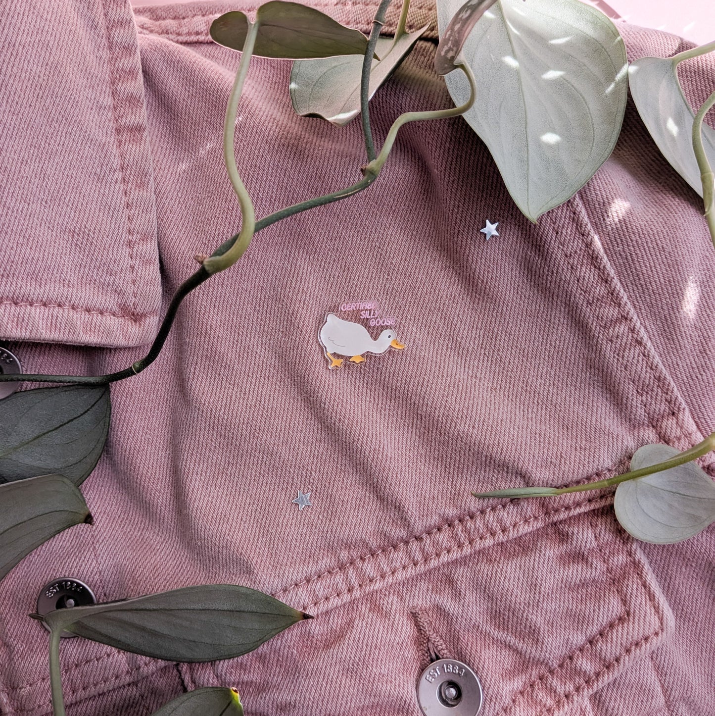 Certified Silly Goose Acrylic Pin Badge