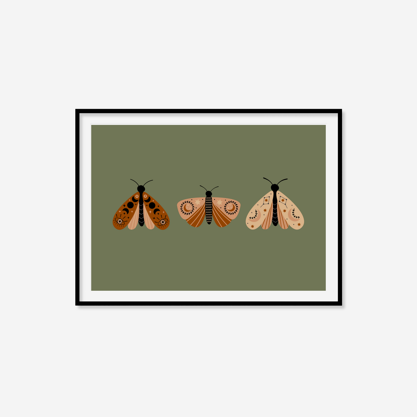 Moth Variety Print