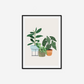 Trio Of Houseplants Print