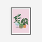 Trio Of Houseplants Print