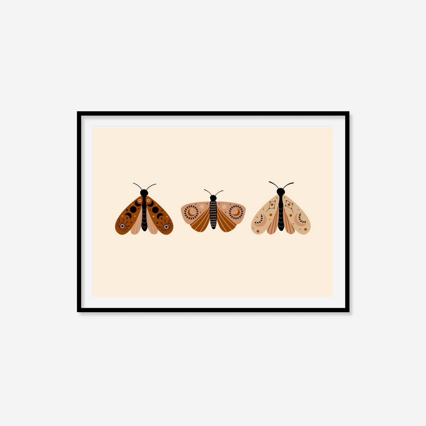 Moth Variety Print