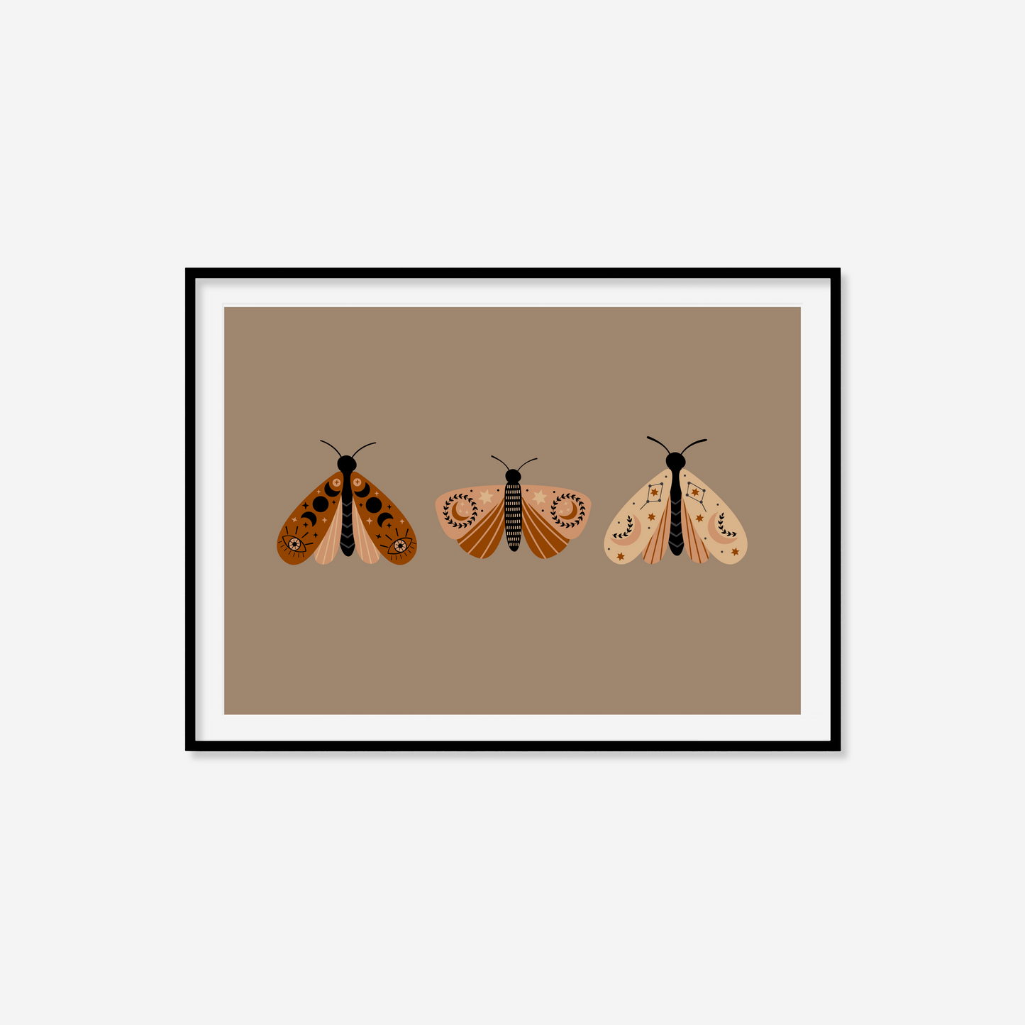 Moth Variety Print