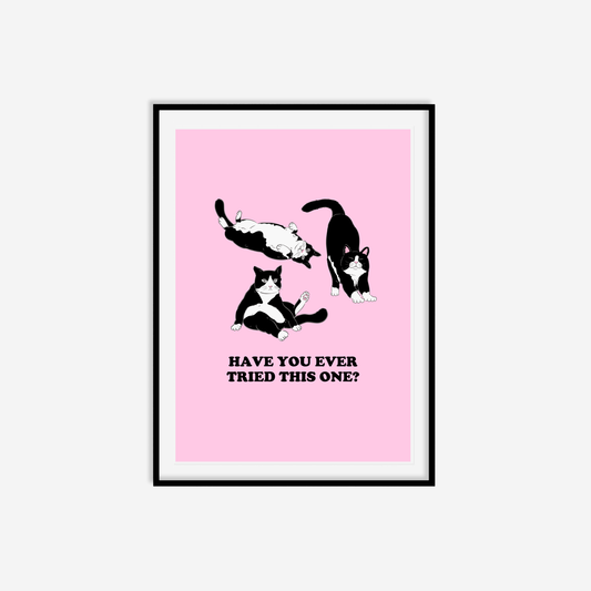 Have You Ever Tried This One Print