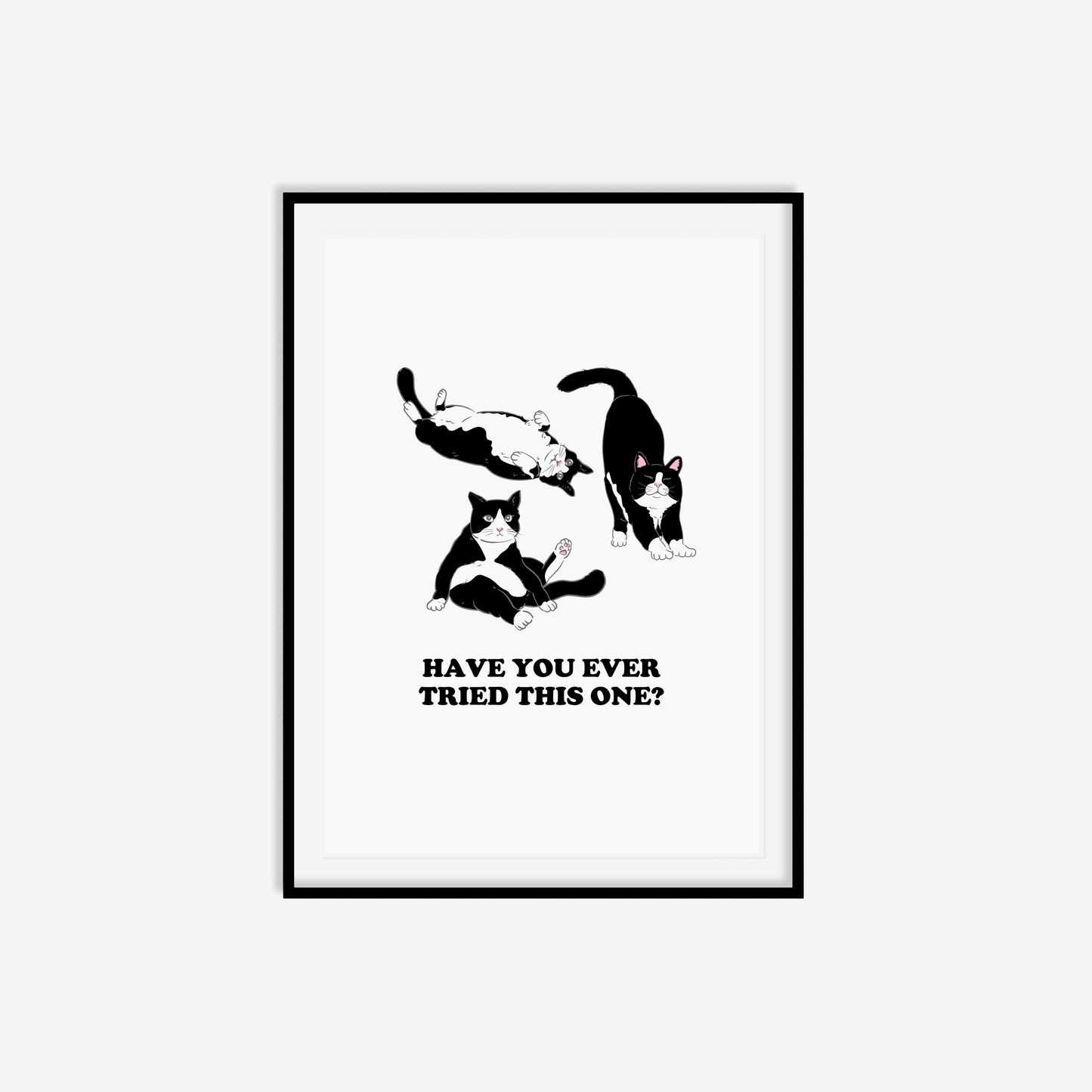 Have You Ever Tried This One Print