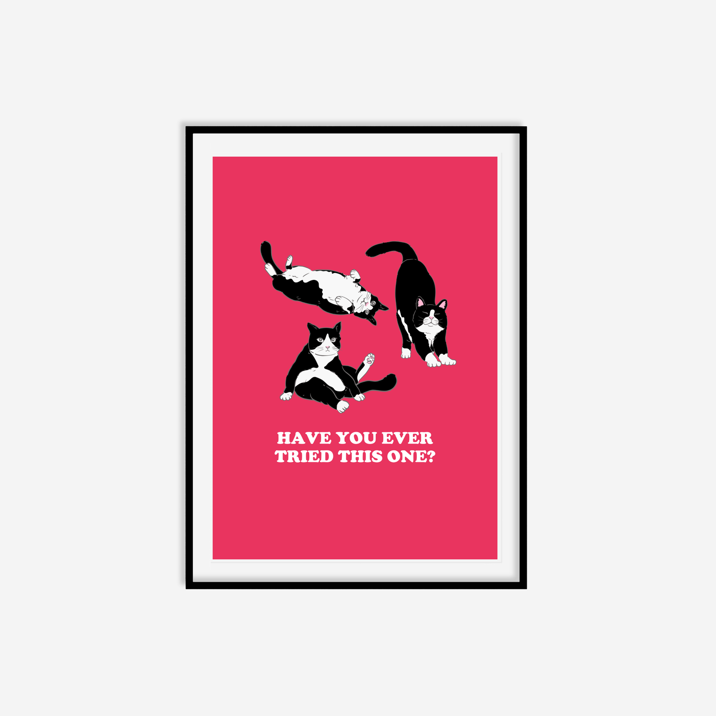 Have You Ever Tried This One Print