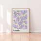 Aster September Birth Flower Print