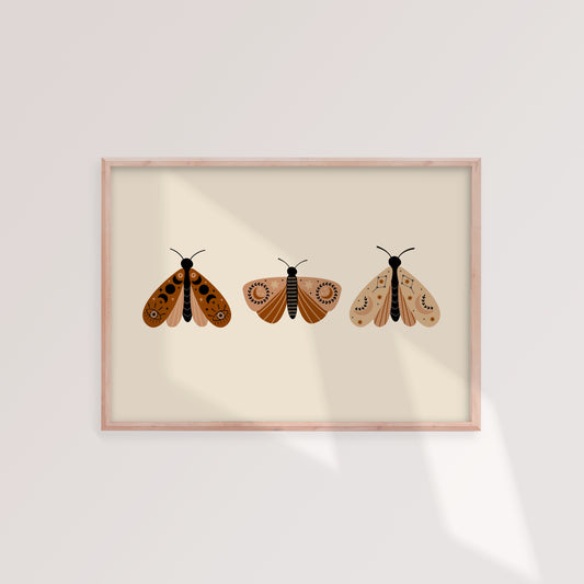 Moth Variety Print