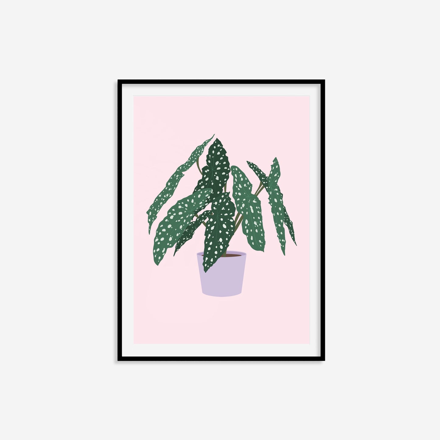 Begonia Print