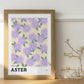 Aster September Birth Flower Print