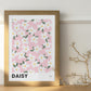 Daisy April Birth Flower Print